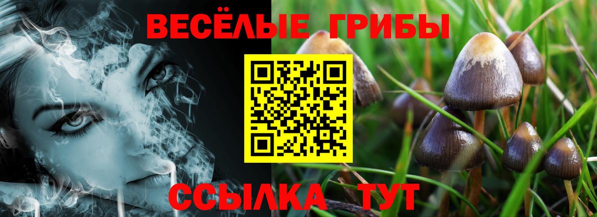Барабинск  Псилоцибиновые грибы MAGIC MUSHROOMS  Вход с VPN 